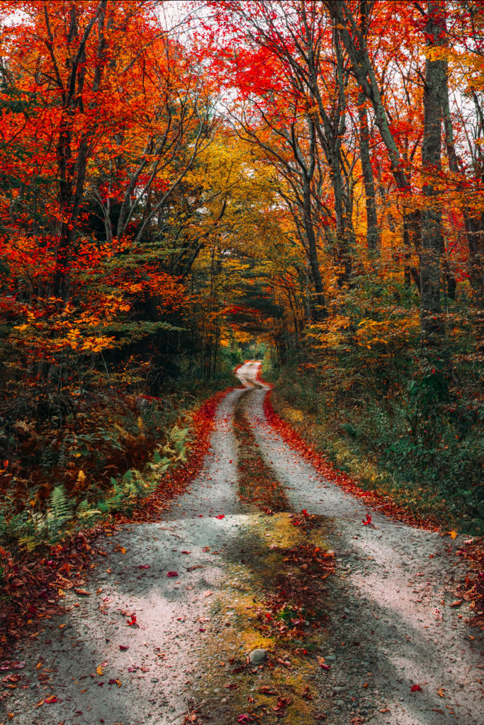 The New England Guide To Leaf Peeping Classy Girls Wear Pearls